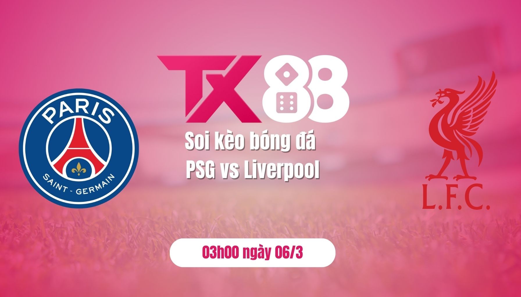 TX88 Soi kèo bóng đá PSG vs Liverpool, 03h00 ngày 6/3: Không dễ cho chủ nhà